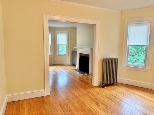 91 Washburn Ave, Portland, ME 04102 - unfurnished living room featuring radiator heating unit, light wood-type flooring, crown molding, baseboards, and a fireplace