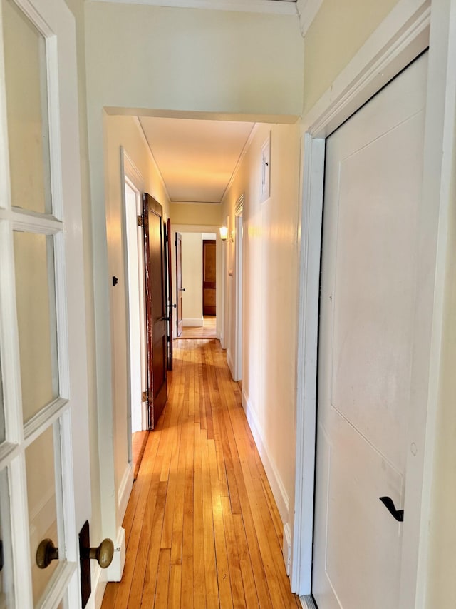 91 Washburn Ave, Portland, ME 04102 - hallway with light wood-type flooring, ornamental molding, and baseboards