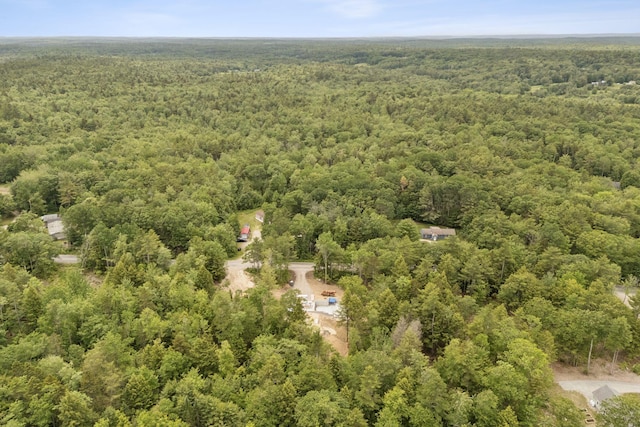 LOT10 Foye Rd, Wiscasset, ME 04578 - drone / aerial view of a forest
