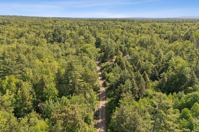 LOT51 Wilfred Dr, Lebanon, ME 04027 - photo 1