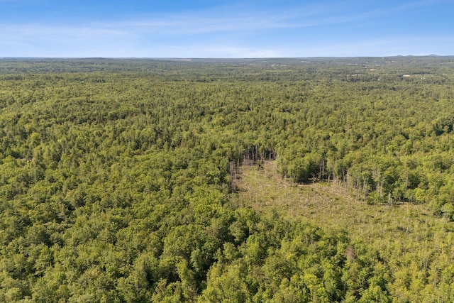 LOT51 Wilfred Dr, Lebanon, ME 04027 - photo 6
