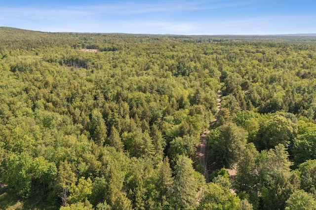 LOT51 Wilfred Dr, Lebanon, ME 04027 - photo 9