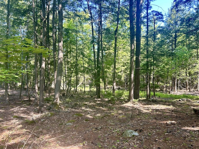 LOT51 Wilfred Dr, Lebanon, ME 04027 - photo 4