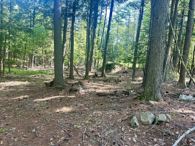 LOT51 Wilfred Dr, Lebanon, ME 04027 - photo 5