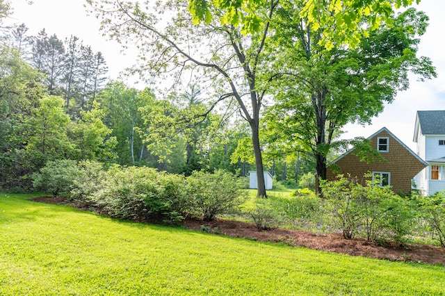 10 Joslyn St, Newport, ME 04953 - view of green lawn