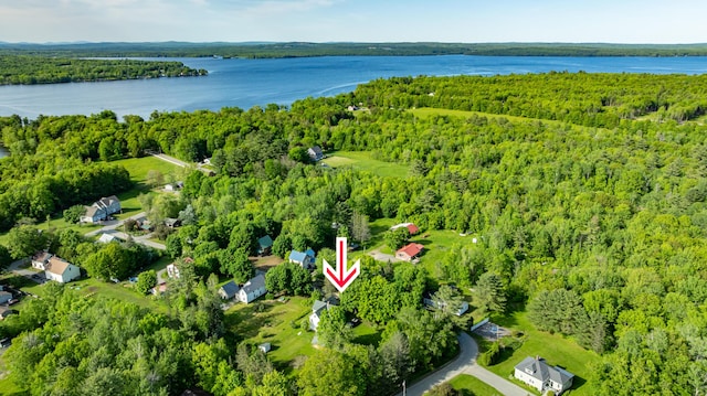 10 Joslyn St, Newport, ME 04953 - drone / aerial view of a heavily wooded area and a nearby body of water