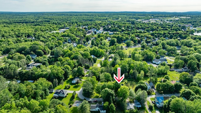 10 Joslyn St, Newport, ME 04953 - aerial view of a forest