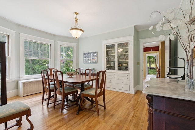 7 Carroll Ave, Auburn, ME 04210 - dining space with ornamental molding, light wood-style floors, radiator, and baseboards