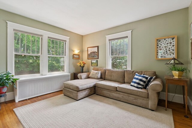 7 Carroll Ave, Auburn, ME 04210 - living room featuring radiator, hardwood / wood-style floors, and baseboards