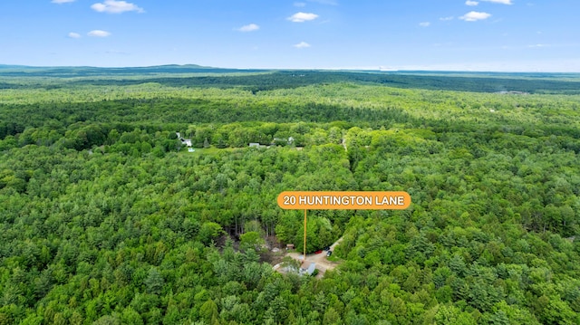 20 Huntington Ln, Berwick, ME 03901 - aerial view of a heavily wooded area