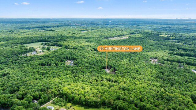 20 Huntington Ln, Berwick, ME 03901 - drone / aerial view of a forest