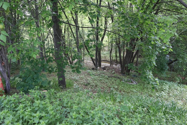 1 Chadwick St, Winslow, ME 04901 - view of local wilderness
