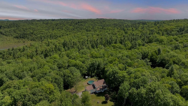 1505 Foxes Ridge Rd, Acton, ME 04001 - view from above of property with a forest