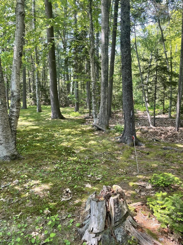 386 Lower Flying Point Rd, Freeport, ME 04032 - view of nature