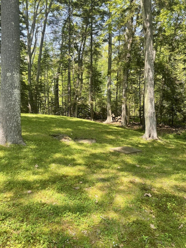 386 Lower Flying Point Rd, Freeport, ME 04032 - view of green lawn