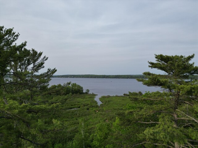 21 Naomi Ave, Madison, ME 04950 - photo 4