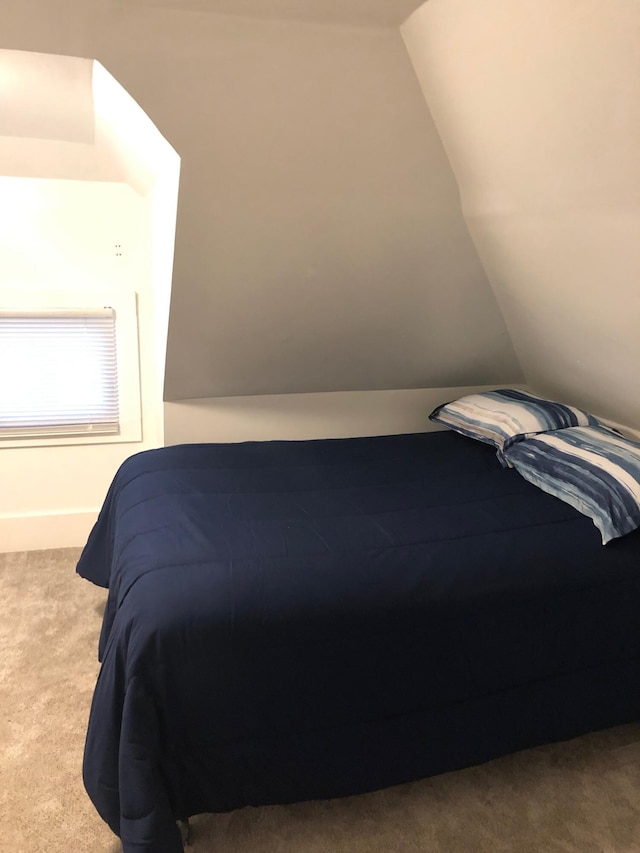 3 Baker St, Winslow, ME 04901 - bedroom with lofted ceiling and carpet
