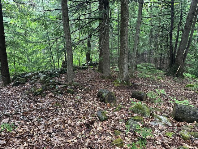 LOT1 Sanborn Rd, Acton, ME 04001