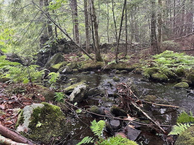 LOT1 Sanborn Rd, Acton, ME 04001