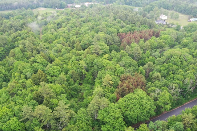 LOT1 Sanborn Rd, Acton, ME 04001