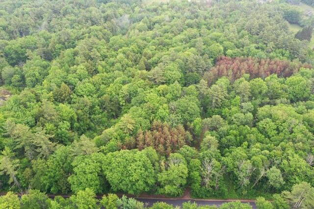 LOT1 Sanborn Rd, Acton, ME 04001