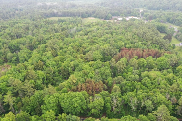 LOT1 Sanborn Rd, Acton, ME 04001