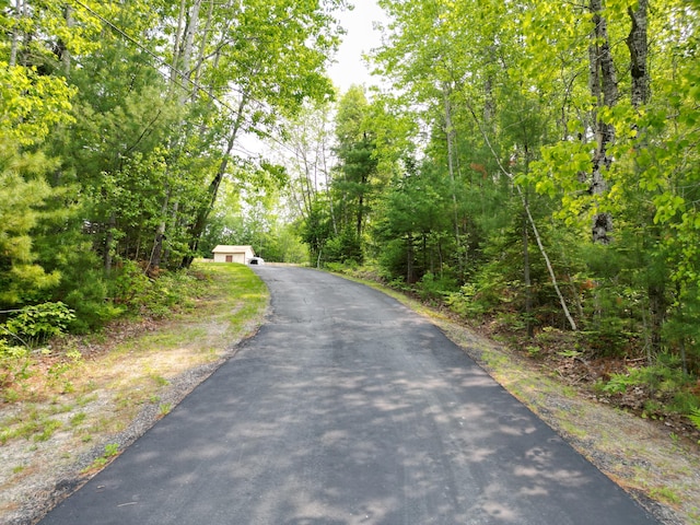 140 Station Rd, Lincoln, ME 04457 - view of asphalt driveway with a view of trees