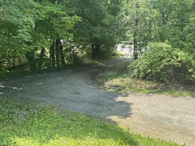 20 Coldbrook Rd, Hampden, ME 04444 - view of street featuring a forest view