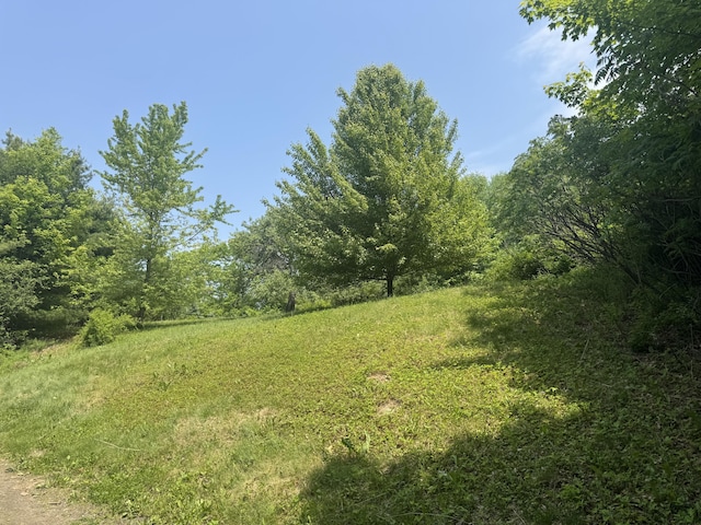 20 Coldbrook Rd, Hampden, ME 04444 - view of yard featuring a wooded view