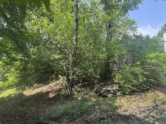 20 Coldbrook Rd, Hampden, ME 04444 - view of undeveloped land