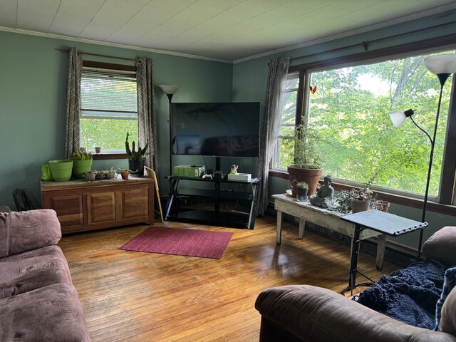 20 Coldbrook Rd, Hampden, ME 04444 - living room with ornamental molding and wood finished floors