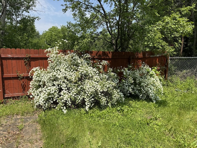 20 Coldbrook Rd, Hampden, ME 04444 - view of fenced backyard