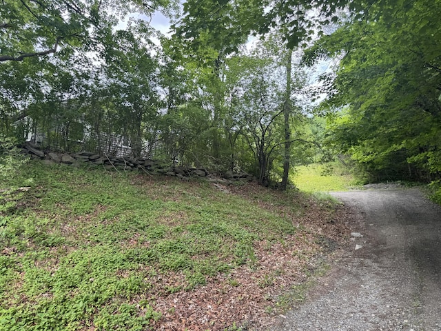 20 Coldbrook Rd, Hampden, ME 04444 - view of yard