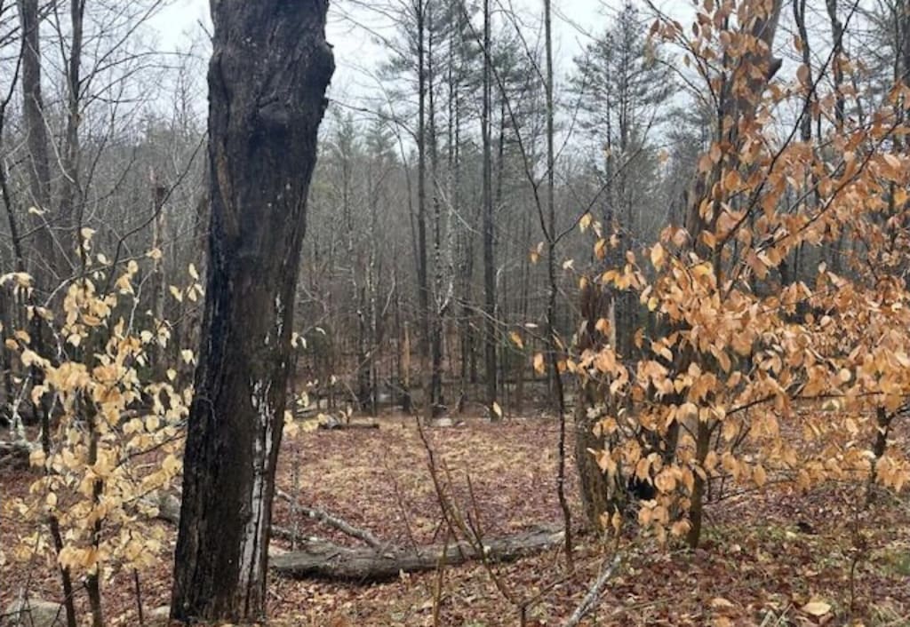 R1325-1 Prospect Hill Rd, Lebanon, ME 04027 - photo 2