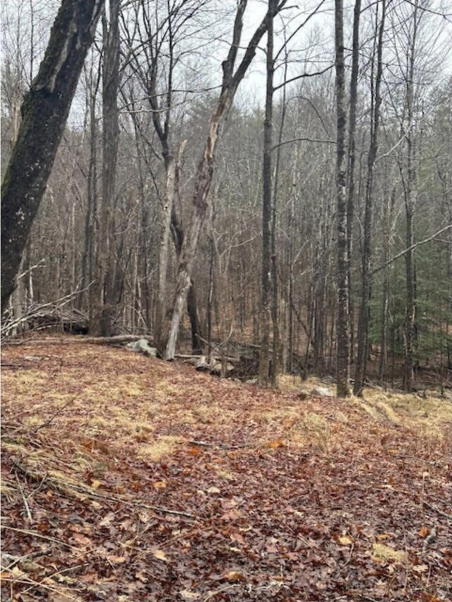 R1325-1 Prospect Hill Rd, Lebanon, ME 04027 - photo 3