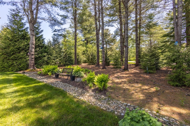 10 Clam Cove Dr, Rockport, ME 04856 - view of grassy yard