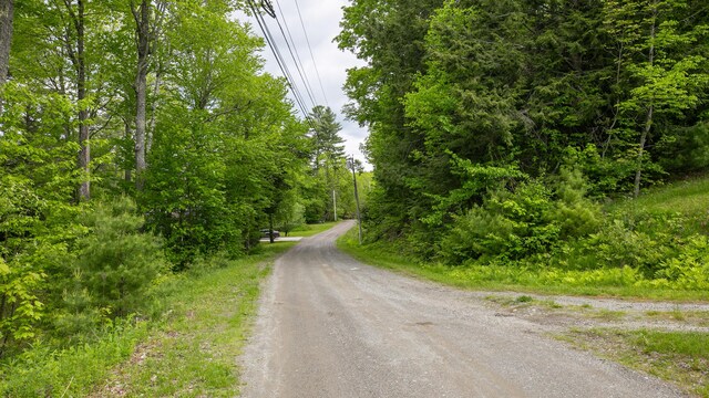88 Adams Ln, Dedham, ME 04429 - view of dirt / gravel road