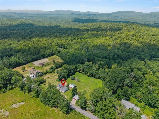 80 Whaleback Rd, Limington, ME 04049 - photo 59