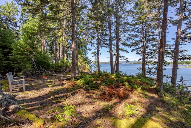M15L20-TBD Golf Club Rd, Islesboro, ME 04848