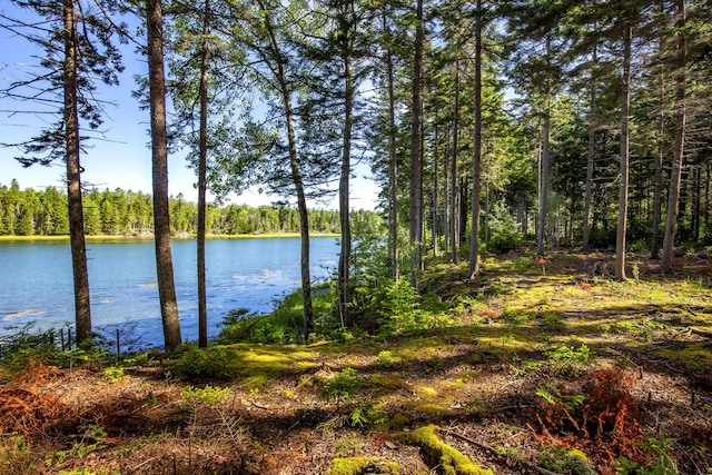 M15L20-TBD Golf Club Rd, Islesboro, ME 04848