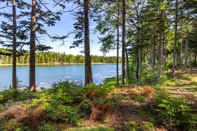 M15L20-TBD Golf Club Rd, Islesboro, ME 04848