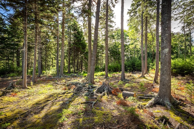 M15L20-TBD Golf Club Rd, Islesboro, ME 04848