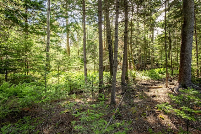 M15L20-TBD Golf Club Rd, Islesboro, ME 04848
