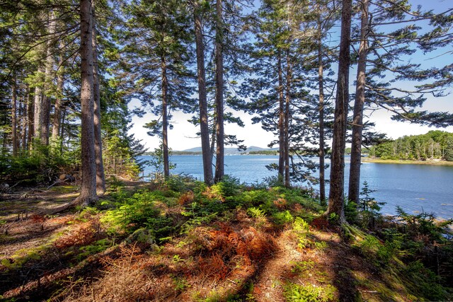 M15L20-TBD Golf Club Rd, Islesboro, ME 04848