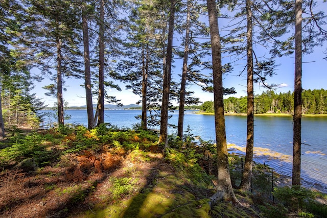 M15L20-TBD Golf Club Rd, Islesboro, ME 04848