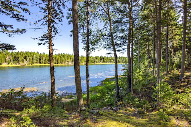 M15L20-TBD Golf Club Rd, Islesboro, ME 04848