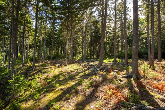M15L20-TBD Golf Club Rd, Islesboro, ME 04848