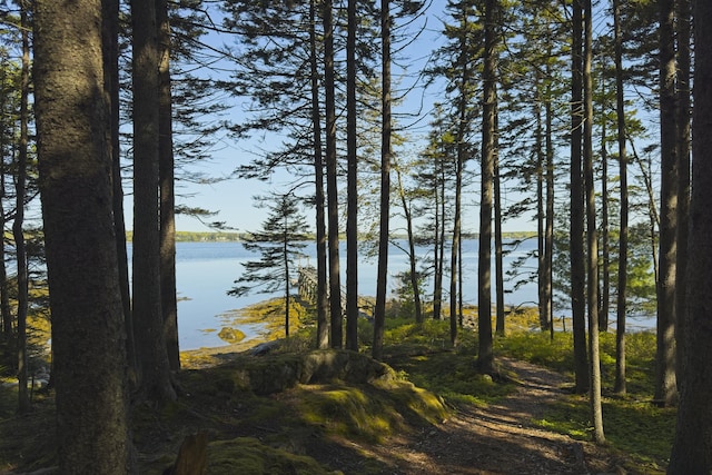 10 Waymouth Rd, Saint George, ME 04860