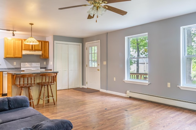14 Carter Ln, Brewer, ME 04412 - living room featuring baseboard heating, light wood-style floors, and healthy amount of natural light