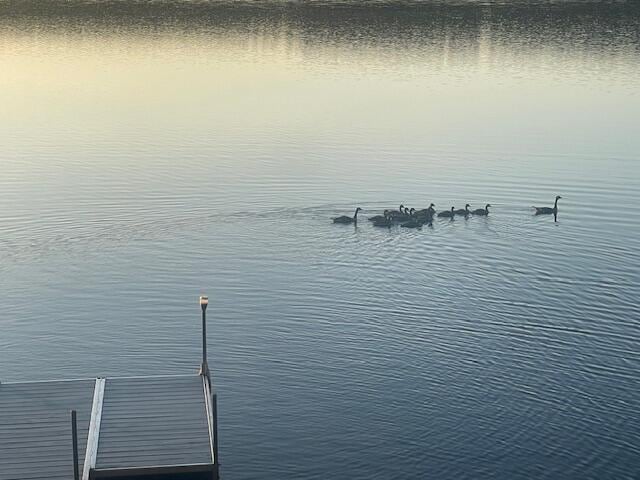 33-34 Gerber Ln, Monmouth, ME 04259 - water view